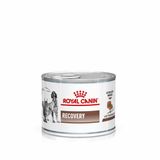 Royal Canin Recovery 12 x 195 gram