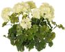 Top Art Kunstbloemen boeketje - Franse geranium - wit - UV bestendig - D30 cm x H39 cm