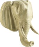 Clairefontaine MA024O Papiermaché Olifant Trofee Knutselset voor Kinderen