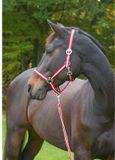 Covalliero Halster Hippo Bordeaux/Beige Full