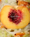 Sauer Puss: A Fermentation Guide with Recipes Designed to Support Women’s Health and the Vaginal Microbiome