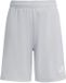 Adidas Entrada 26 Korte Broek Grijs 15-16 Years Kinderen