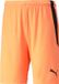 Puma Teamliga Short Heren - Fluo Oranje