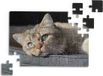 König Design Puzzle 20 x 25 cm / 120 pièces