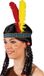 Boland Hoofdband Lonato Cowboy Indiaan Unisex Kinderen en Volwassenen Veren Polyester Multikleur