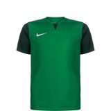 Nike Uniseks-Kind Short Sleeve Top Y Nk Df Trophy V Jsy Ss, Pine Groen/Gorge Groen/Gorge Green/Wit, DR0942-302, L