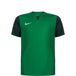 Nike Uniseks-Kind Short Sleeve Top Y Nk Df Trophy V Jsy Ss, Pine Groen/Gorge Groen/Gorge Green/Wit, DR0942-302, L
