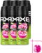 Axe Déodorant Spray Epic Fresh 150 ml - 6 Pièces