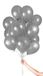 Folat - Zilverkleurige Ballonnen met Lint 23cm - 30 stuks