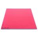 Gymstick Tapis Tatami 2 cm