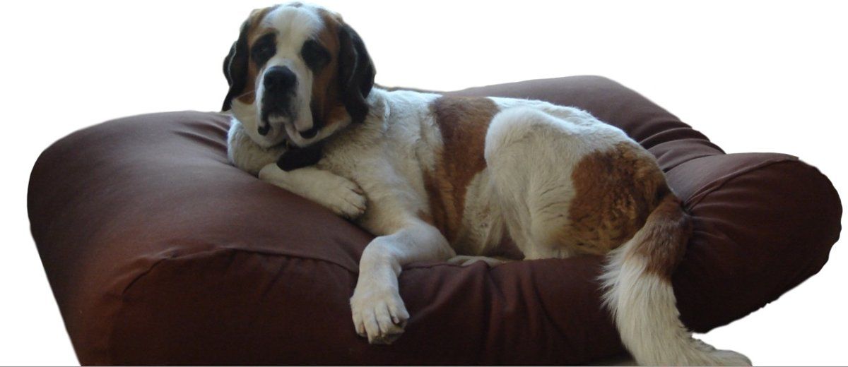 Dog's Companion Hondenkussen - XL - 140 x 95 cm - Chocolade Bruin