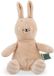 Trixie Babyknuffel Mrs. Rabbit - Zachte Knuffel voor Baby's en Peuters - Eerste Knuffelvriendje