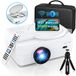 Dxyiitoo Full HD WiFi Bluetooth Projector Ingebouwde DVD-speler, 8000LM 1080P ondersteund, draagbare mini dvd-projector voor outdoor films, 250" home theater, compatibel met iOS/Android/TV Stick/PS4/HDMI/USB/TF..