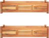 Maison Exclusive - 2 jardinières surélevées en bois d'acacia, 100 x 30 x 25 cm