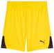 PUMA teamLIGA26 Shorts Jr