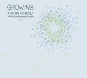 Bertus Distributie Growing Color Wheel