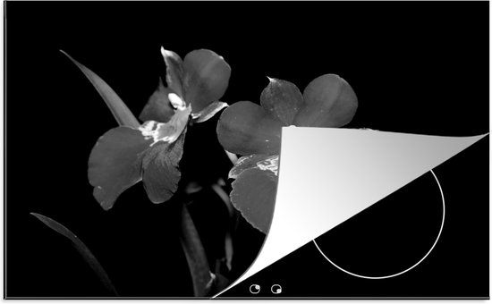KitchenYeah® Inductie beschermer 77x51 cm - Orchideeën - Zwart Wit