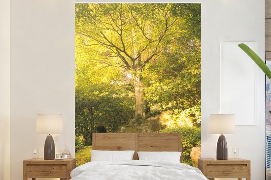 Nr1Wallpaper Behang - Fotobehang Bos - Licht - Japan - Breedte 225 cm x hoogte 350 cm