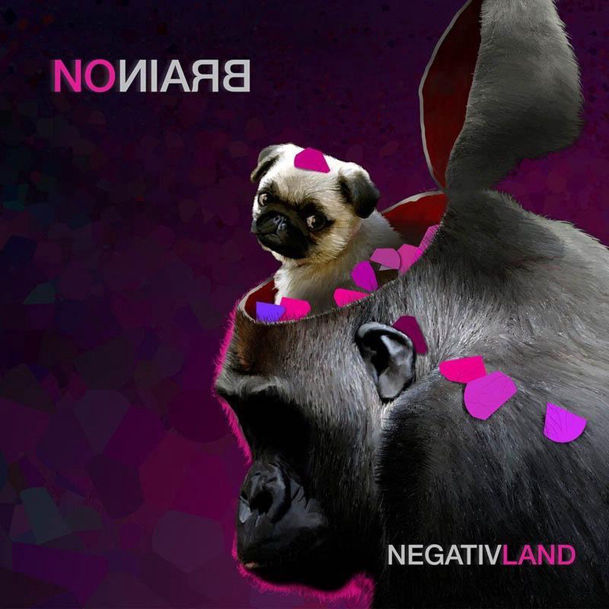 Konkurrent No Brain - Muziek - 0753762003573