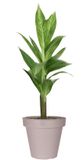 Pro Garden Bloempot - taupe - rond - D50 cm - kunststof