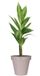 Pro Garden Bloempot - taupe - rond - D50 cm - kunststof