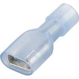 Vogt Verbindungstechnik 3966 prise femelle Largeur d'insertion : 6,3 mm Épaisseur d'insertion : 0,8 mm 180° Entièrement isolé Bleu 1 pièce(s)
