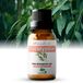 Zenful Eucalyptus olie - 100% Puur - Biologisch - Etherische olie - Natuurlijk - Bad - Sauna - Diffuser - Aromatherapie - 10 ml