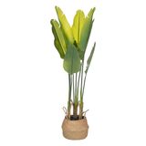 Atmosphera Kunstplant Strelitzia - Ø38xH125cm - Groen/Geel