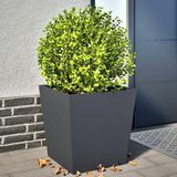Merkloos Plantenbakken Set - Bloembakken Tuin - Planten Verfraaien - Roestbestendig Staal - 50x50x50 cm - Antraciet