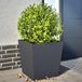 Merkloos Plantenbakken Set - Bloembakken Tuin - Planten Verfraaien - Roestbestendig Staal - 50x50x50 cm - Antraciet