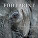 Footprint: A Philosophy of Living and Leading, Inspired by Nature Paperback