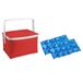 Petite glacière pour déjeuner rouge avec 2 éléments réfrigérants flexibles 3,5 litres