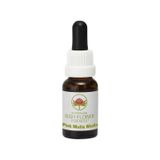 Australian Bush Pink mulla mulla 15 millilitres