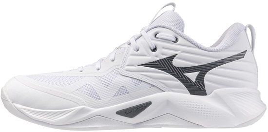 MIZUNO Wave Momentum Pro Heren Volleybalschoenen Wit/Zwart