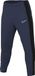 NIKE heren Shorts Dri Fit Acd23