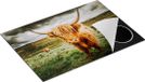 Chefcare Inductie Beschermer Schotse Hooglanders in de Wei - 75x55 cm
