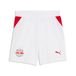 PUMA Short 26/27 FC Rouge Bull Salzburg Enfant et Adolescent, Accessoires, Blanc, 9-10Y