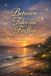 Between Tides and Fireflies: A Young Adult Romance About First Love, Misunderstandings, and Growing Together