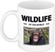 Bellatio Decorations Shoppartners Bv Dieren foto mok Chimpansee aap - 300 ml - wildlife of the world - cadeau beker / mok Apen liefhebber