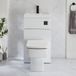 Hudson Reed Exton Toilet Fontein Combinatie