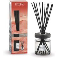 Esteban Interieurparfum Geurboeket ellips rechargeable Terre d'Ocre Karité 200 ml Transparant en Zwart