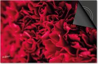 Dietrix Inductie Beschermer - 65x52cm - Flowers 15 - Pioen Rood