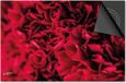 Dietrix Inductie Beschermer - 65x52cm - Flowers 15 - Pioen Rood