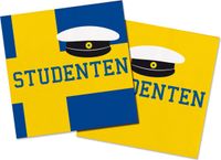 Folat Studentenfeest Servetten 33x33cm - 20 stuks