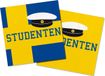 Folat Studentenfeest Servetten 33x33cm - 20 stuks