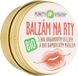 Purity Vision BIO lip balm with 12 ml organic argan oil
