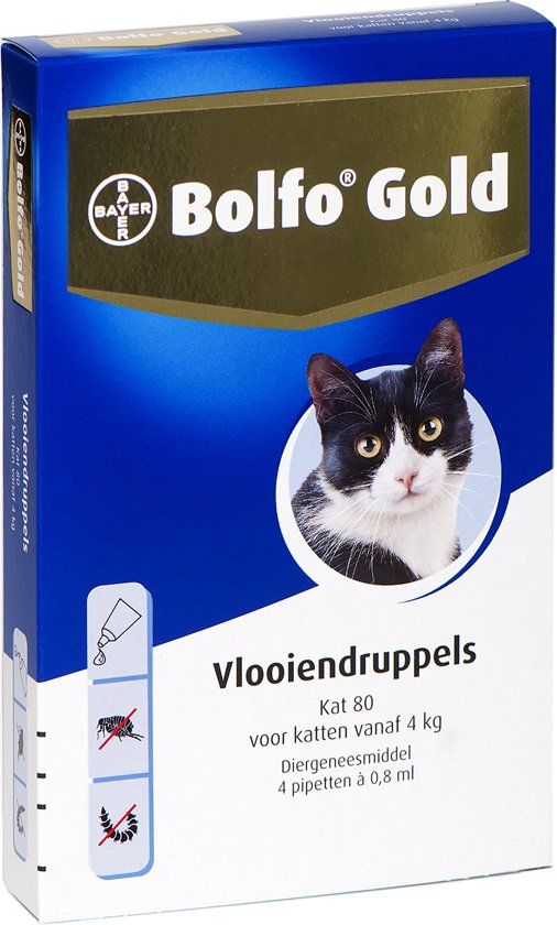 Bolfo Gold 80 Anti vlooienmiddel - Kat - >4 kg - 4 pipetten