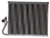 MAHLE AE 265 000P Évaporateur de climatisation