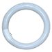 Falcon Eyes 291075 - Lampe fluorescente - 22W - 5500K - Lumière du jour - Blanc