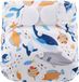 HappyBear Couche de bain | Sea Animals | Velcro | 0-3 ans
